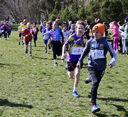 Gdańskie szkoły na przełajach